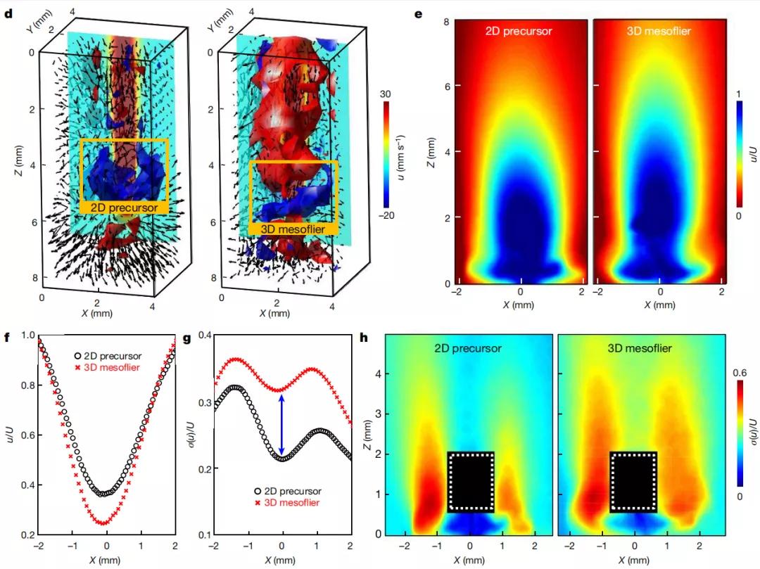 清华研发最小飞行器,清华大学自主研发飞机