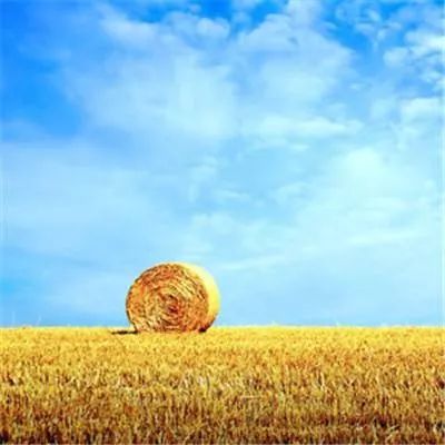 如何从微信头像看出别人的性格,怎样从微信头像看出一个人的性格