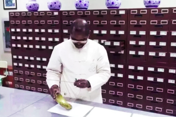 黑人小伙苦学成中医博士,扎根中国乡村20余载,培养超5000名村医