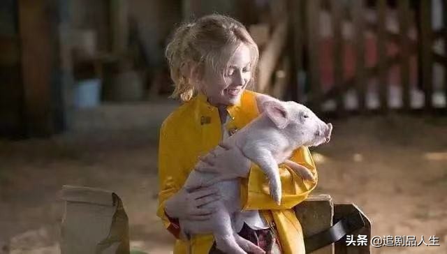 蜘蛛夏洛特和小猪的故事,夏洛特的网小猪与蜘蛛的隔空友谊