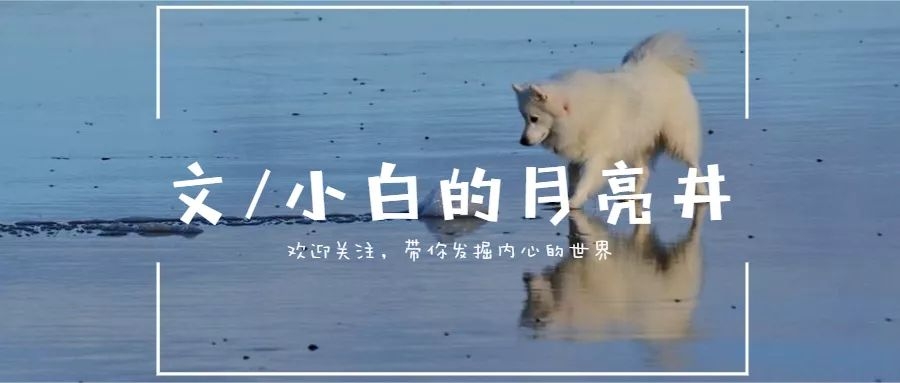 年运塔罗牌占卜,占卜测试爱情是否到来