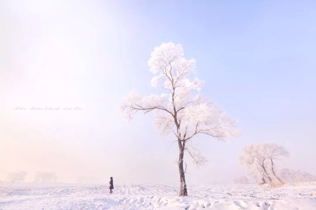 这才是国内最美的地方,这才是中国34省最该去的地方