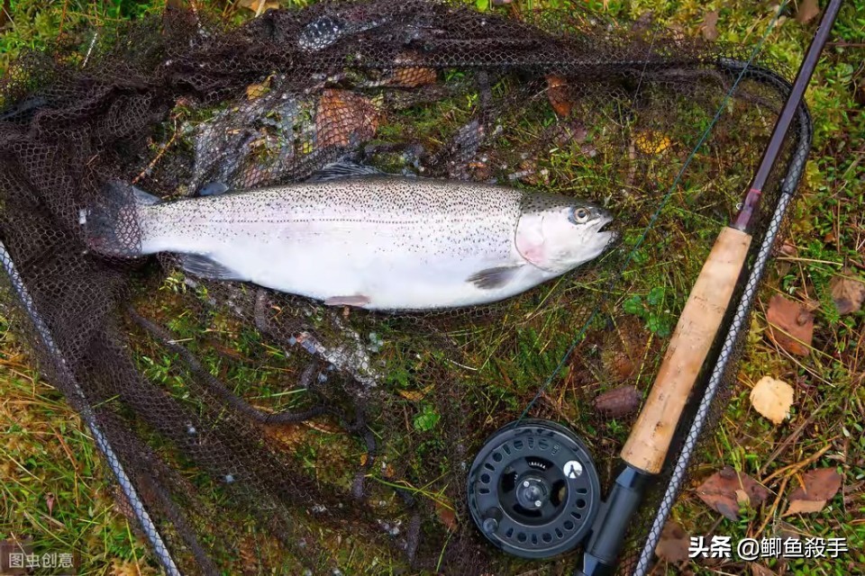 冬天钓鱼的方法技巧大全,冬季钓鱼方法与技巧大全图解