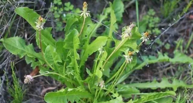春天最适合滋补的食物,这4种东西千万不要拿回家会很穷