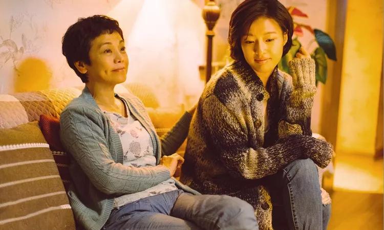 12岁少年弑母与北大孝子杀母,北大孝子杀母的背后