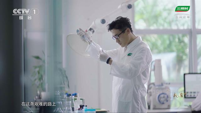 三棵树为何股价强势,市值暴涨3400亿