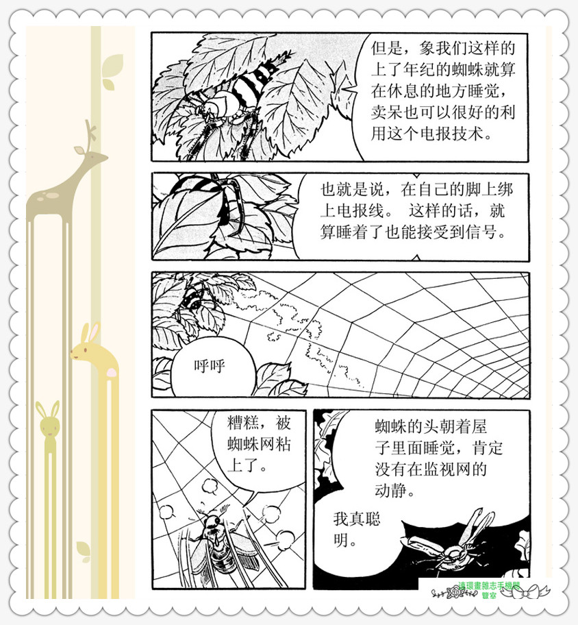 昆虫记法布尔动画片,昆虫记法布尔全套