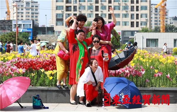 长春公园芍药花陆续绽放,长春公园百合图片大全