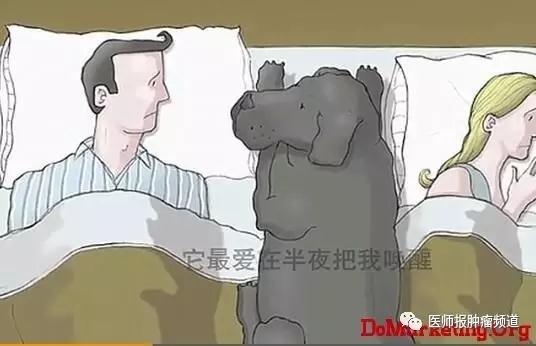 我有一只叫抑郁症的黑狗音频,我有一只叫抑郁症的黑狗主要内容