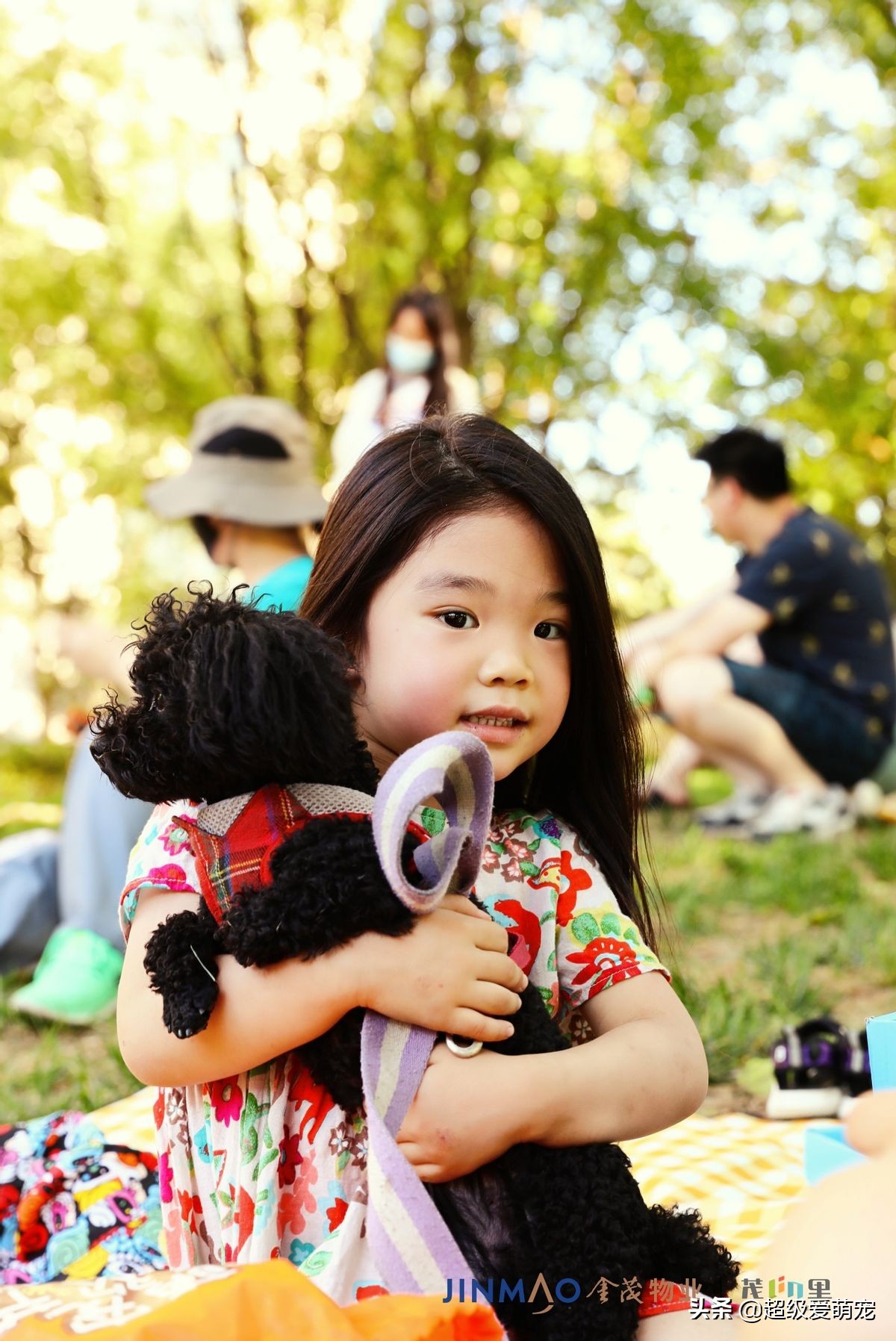 金茂广场萌宠生活节,金茂物业活动