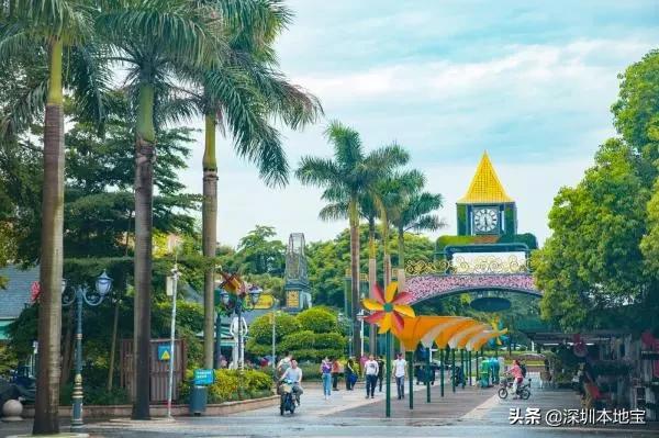深圳有哪些地方免费景点,深圳都有什么景点免费游玩