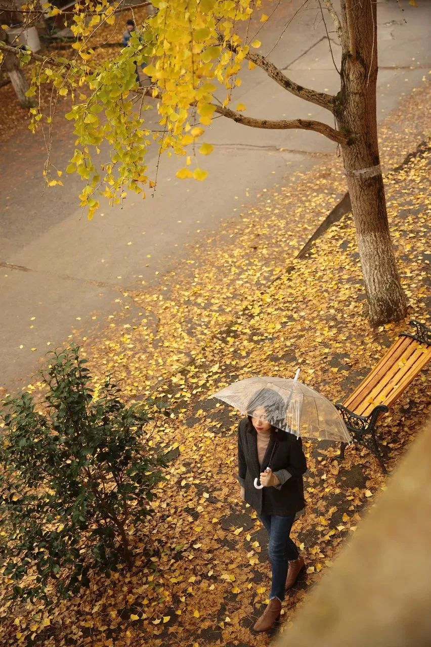逐梦韶关:粤北这方山水,如此多情!怎可不来?