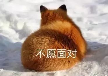 拍照尴尬怎么化解,拍照不自然不上镜的解决办法