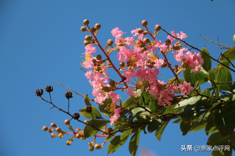 大连这个小岛不去看一看，真的会后悔