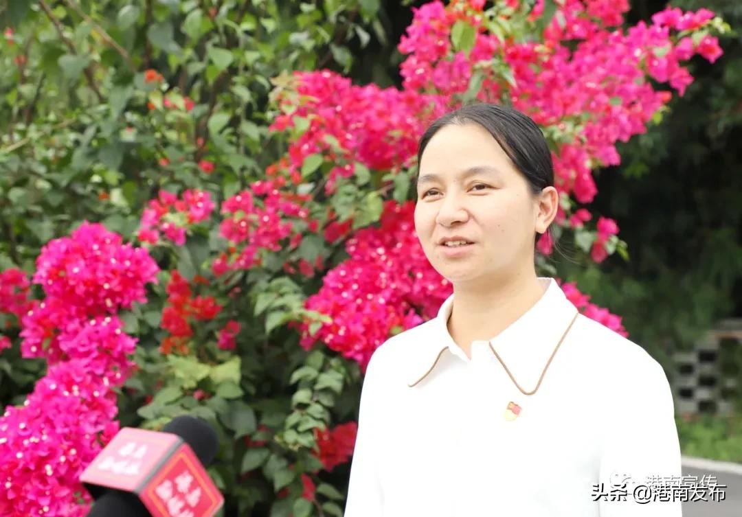 湛江镇：中药材成为群众致富金“药”匙