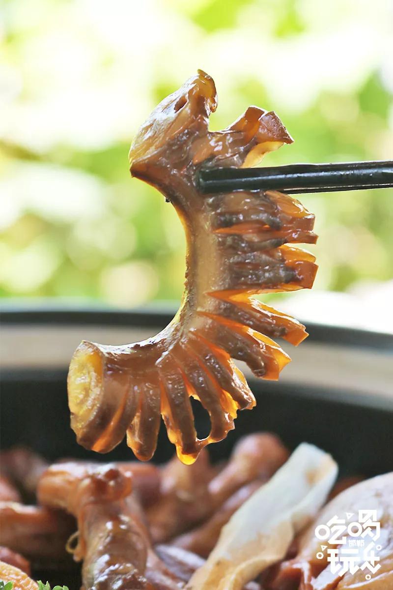 秋冬来袭!来碗养生汤!吃着鸽子喝着汤!请客有面子就到鸽子王