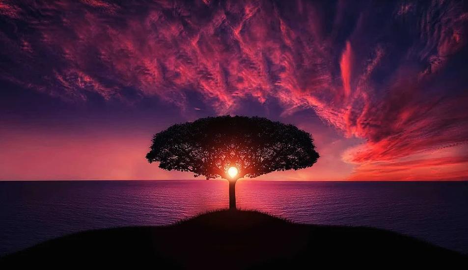 arbor植树节,arborday