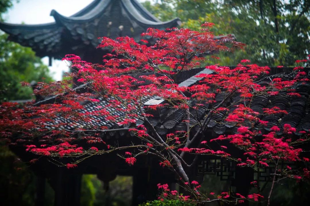 被严重低估的江苏成绩,扬州被严重低估的城市