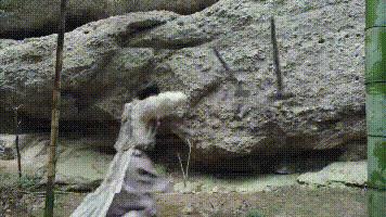 倚天屠龙记改版,倚天屠龙记打斗慢动作