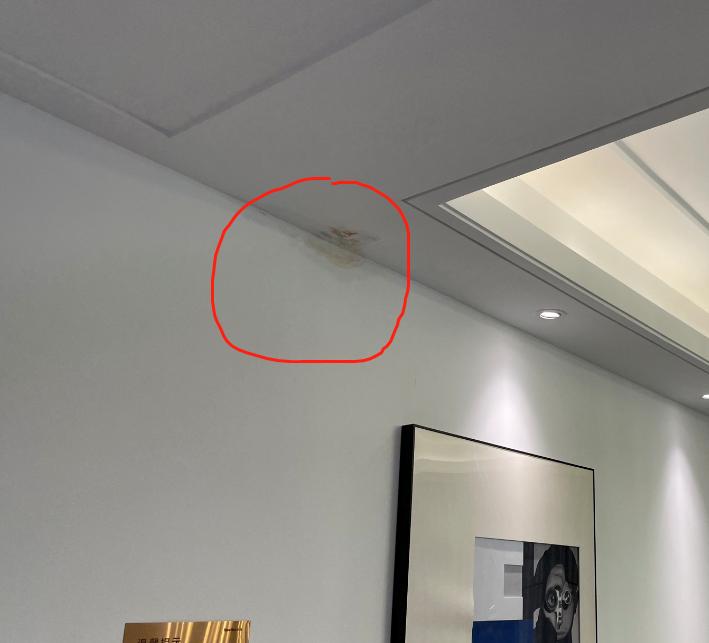 荣盛房地产发展最近新消息,荣盛鹿山府踩三道红线