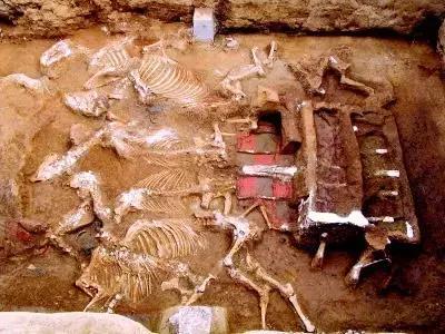 盗墓的简介与规则,盗墓需要学的知识