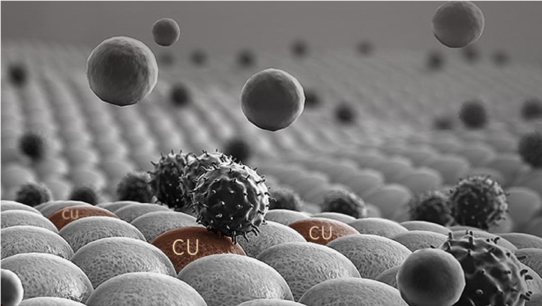 德国不锈钢菜板抗菌防霉,除菌防霉菜板