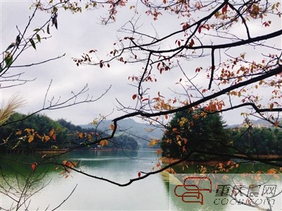 买养生避暑房须谨慎，小心陷入只图凉快的怪圈！