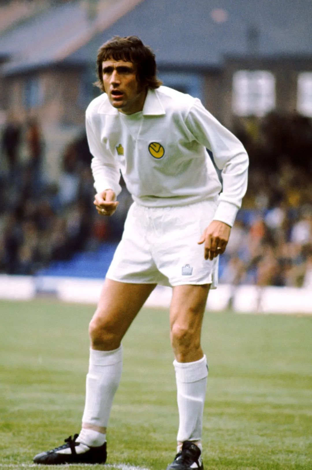 英媒总结2020年与世长辞的名人（猫），看看你都认得谁