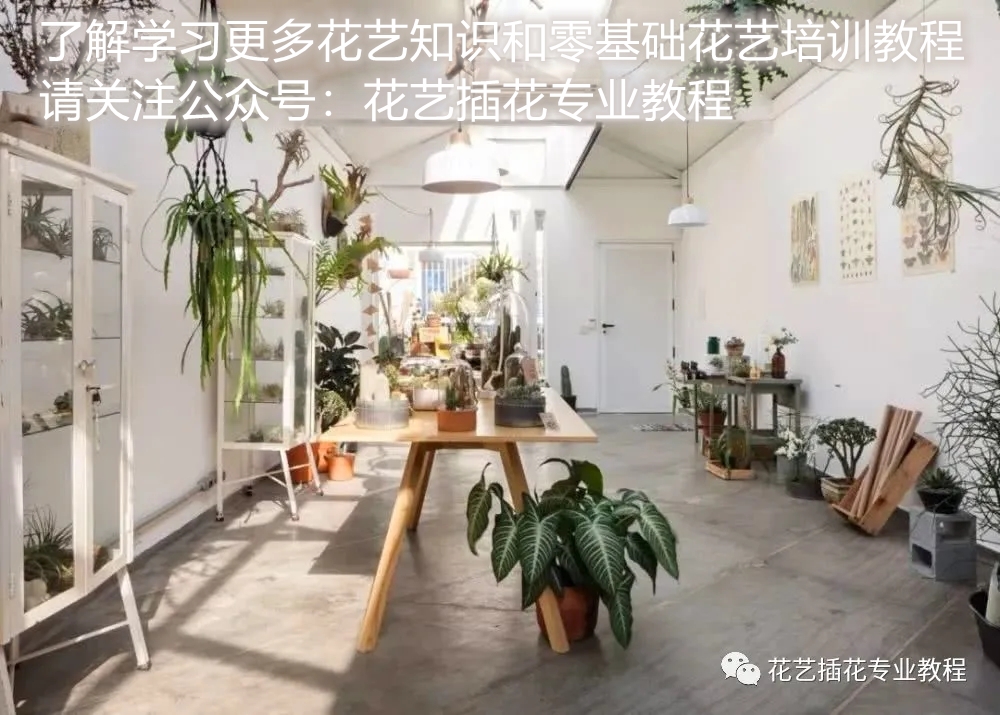 花店经营技巧和方法,花店营销技巧花店的待客之道