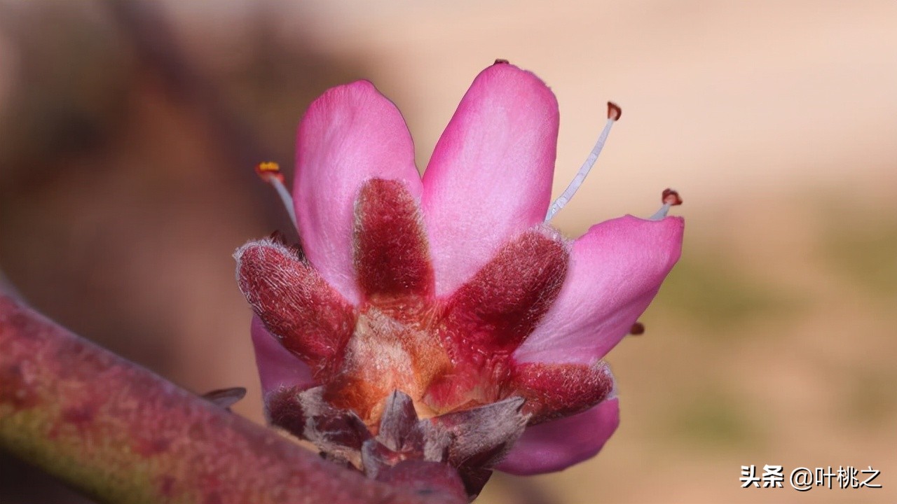 留意一下朋友圈从不给你点赞的人,请远离那些不给你点赞的人