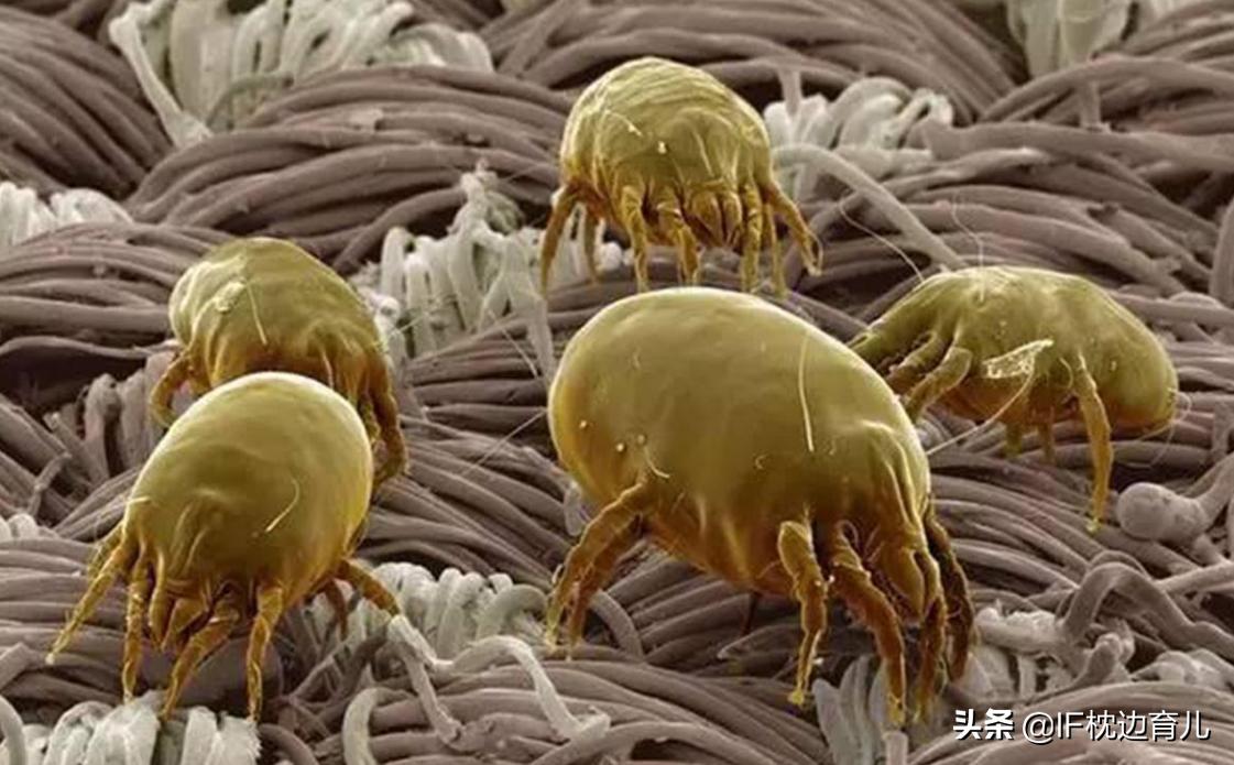 凉席什么材质凉快舒服对身体好,夏天睡什么材质凉席对身体健康