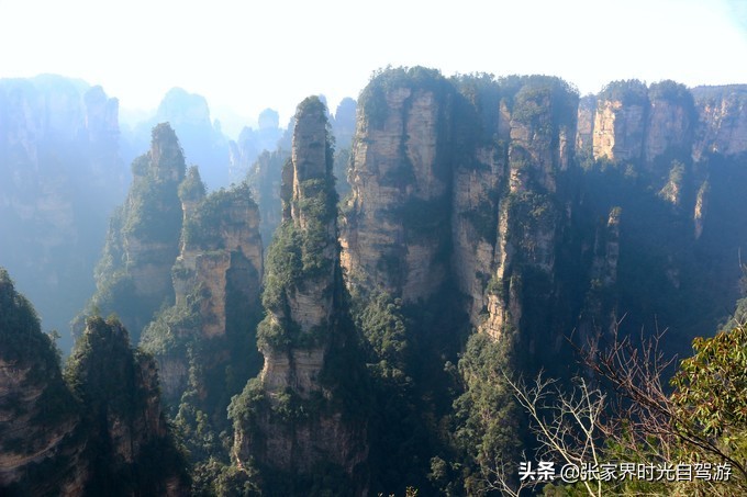 张家界森林公园亲子游攻略,张家界旅游攻略现在张家界气温