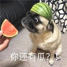 不管多高冷闷骚的西安年轻人，都抵挡不住这波“吃瓜的诱惑”