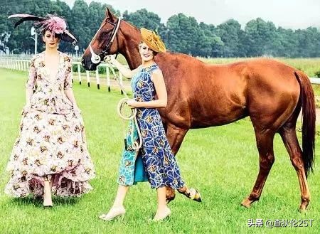 斯里兰卡努沃埃利耶小镇,斯里兰卡努沃勒埃利耶茶厂