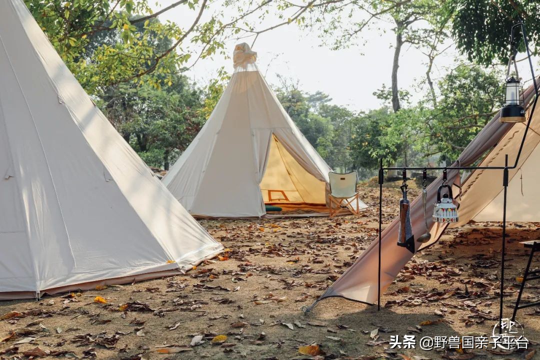 春游在即亲子露营攻略干货奉上,适合亲子的露营装备