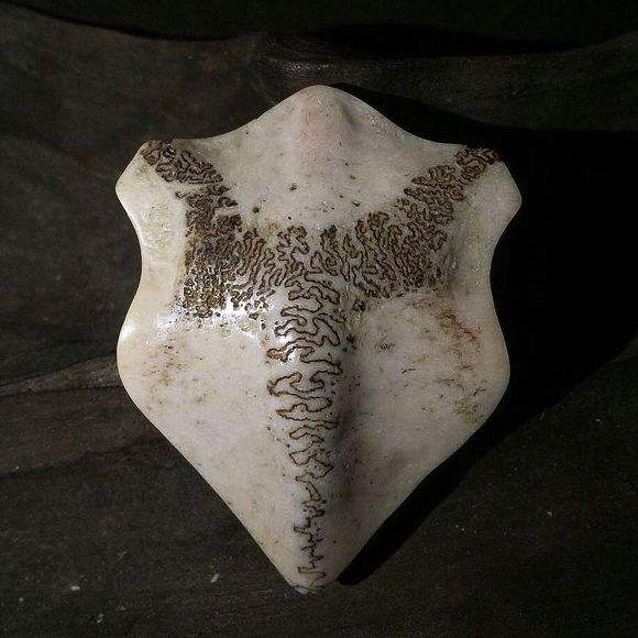 最牛的九种文玩你玩过几种,文玩最罕见排名前十的文玩