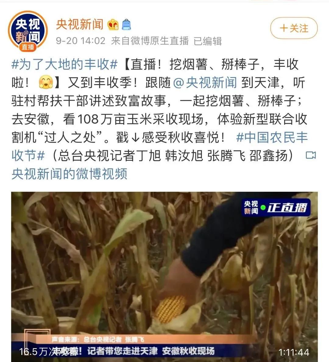 央媒集体点赞,央视新闻联播点赞9万亩小麦