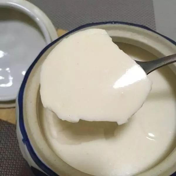 超级嫩滑的牛奶花胶冻,营养即食花胶奶冻