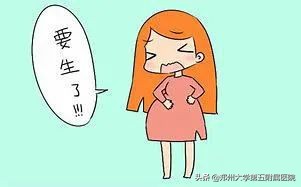 个人盆底康复工作室,盆底康复大全