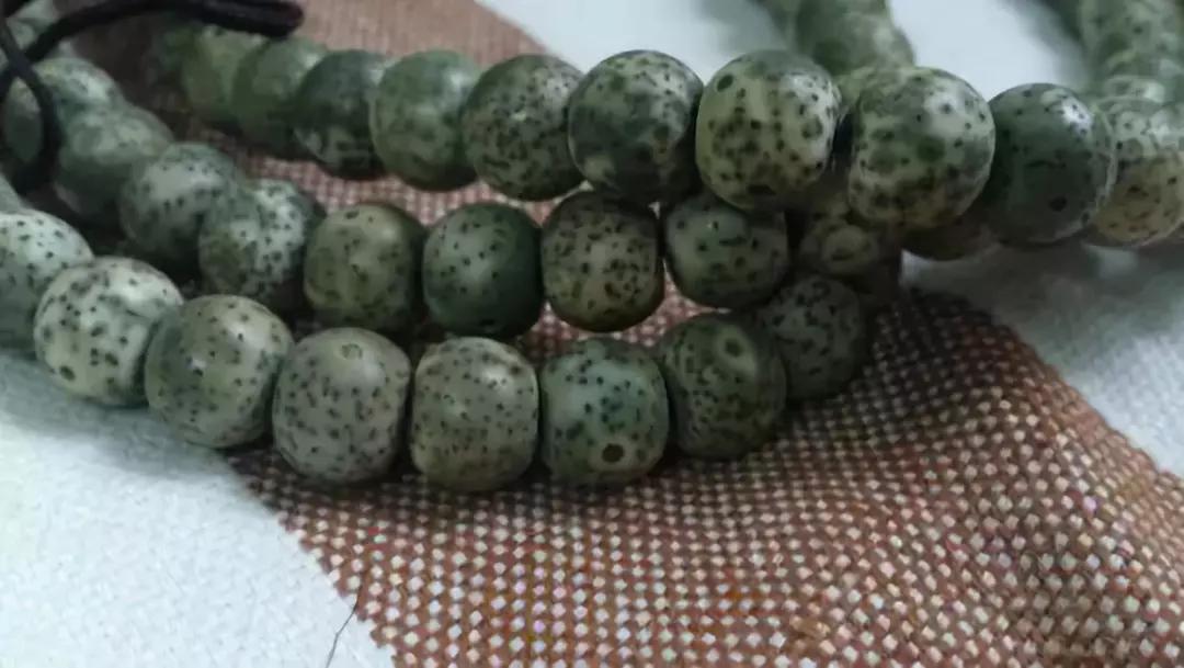 星月掉一块皮还能盘吗,星月阴皮是什么样的