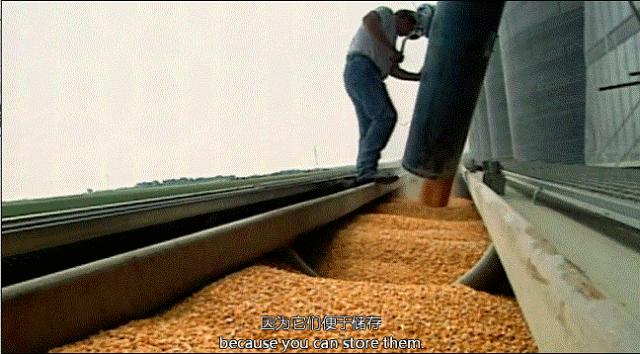 因为一个汉堡,她亲眼看着儿子死去!美国吃的食物到底有多脏...