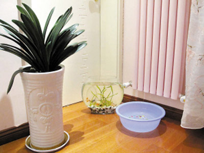 防止开空调过度干燥,开空调干燥要怎样保湿