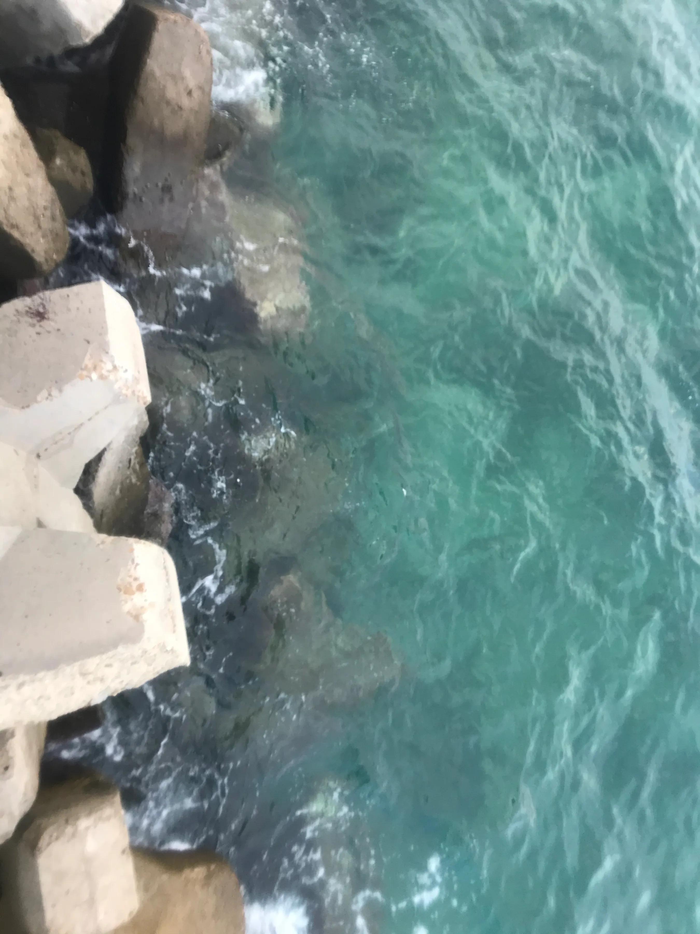 厦门出发海南七日游攻略,厦门自驾游去海南旅游攻略