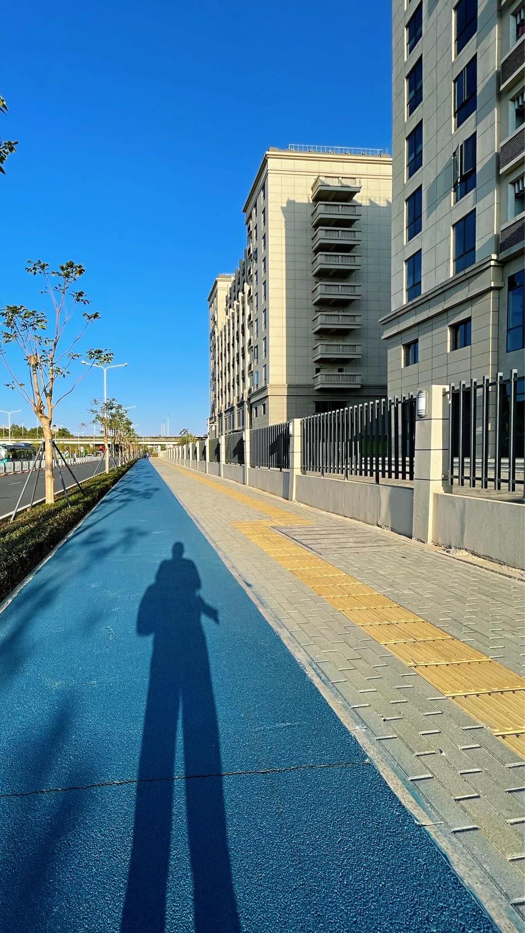 大运绿道跑步路线,大运公园绿道