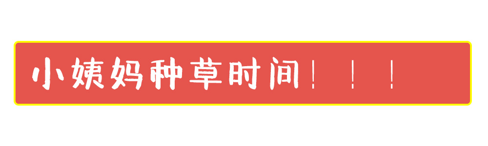 推荐一款不油的洗发水,超留香的平价洗发水