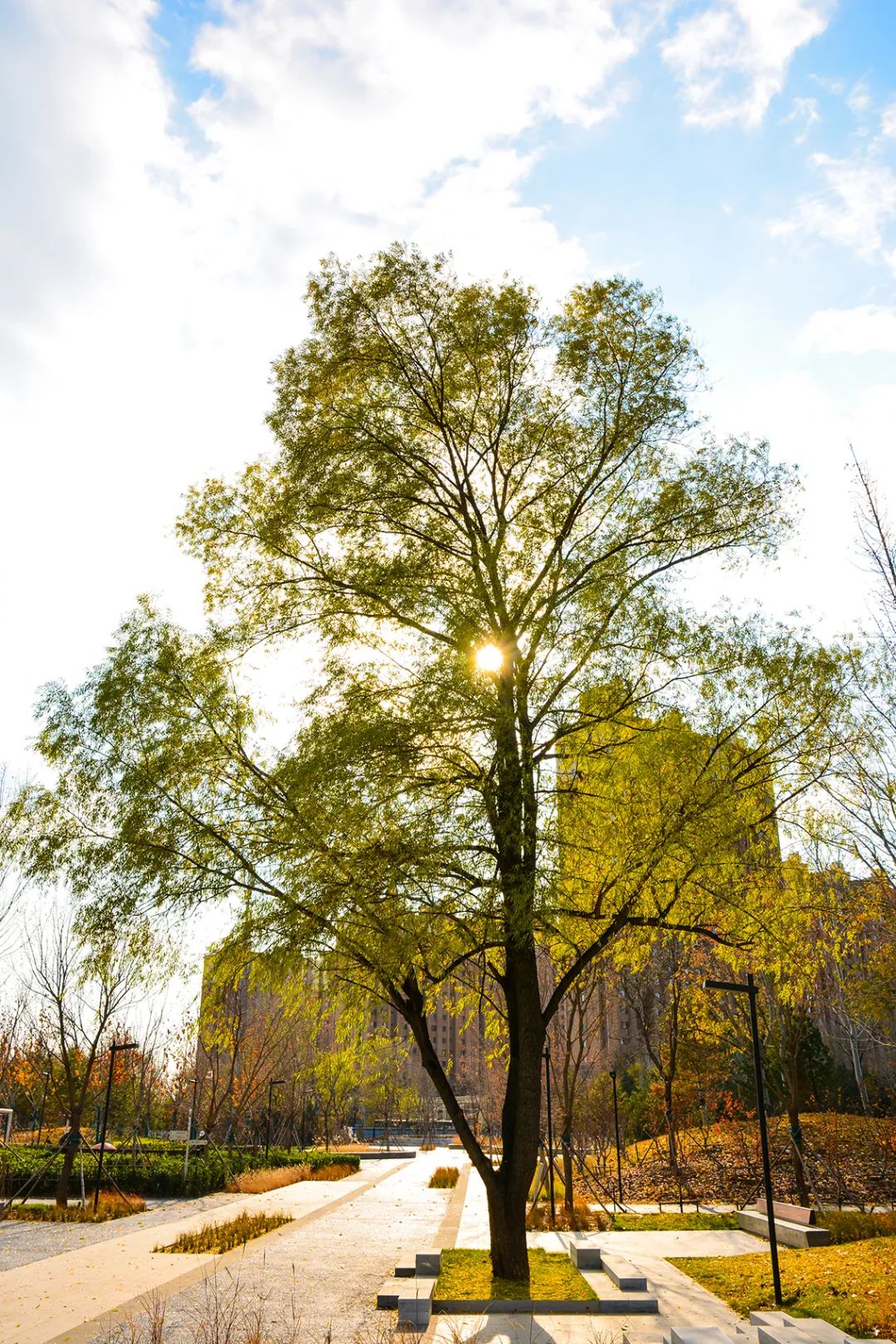 北京新开40个公园在哪里,北京十佳公园