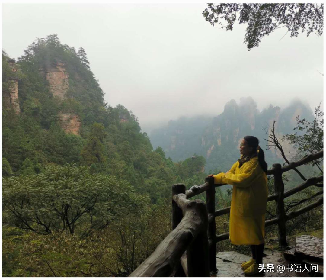 在山上被猴子追,张家界黄石寨的猴子抢东西视频