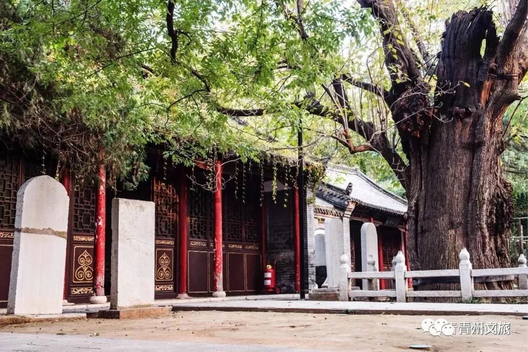 这样的青州，您不可错过~