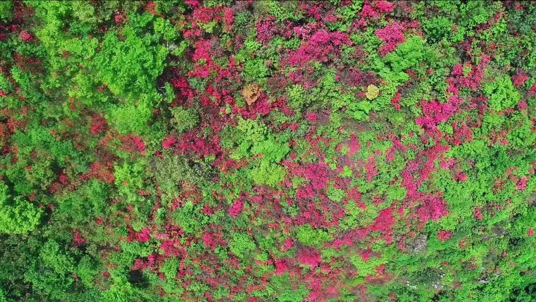 从世界地图看湖南,世界看湖南