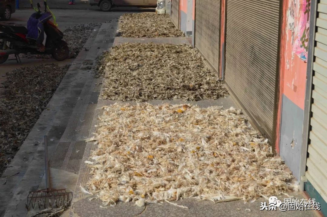 固始赵岗乡航拍,河南信阳固始县街拍